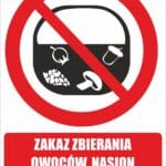 ZAKAZ ZBIERANIA OWOCÓW, NASION I RUNA LEŚNEGO - Tablica BHP,