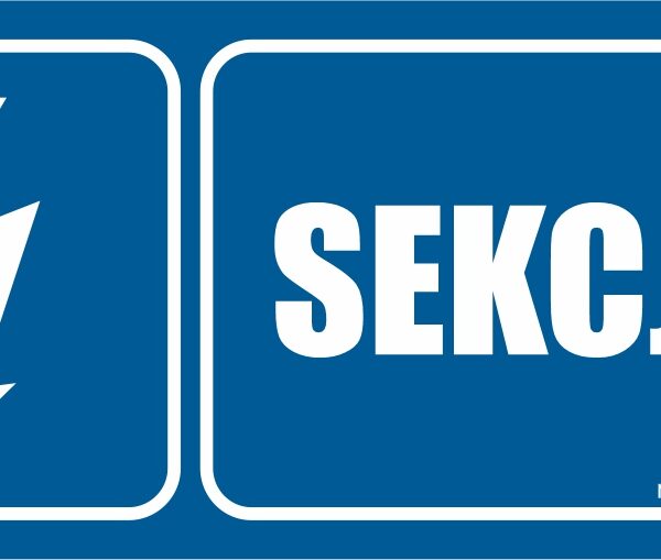 SEKCJA I - elektryczny znak BHP,