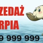 SPRZEDAŻ KARPIA 2x1m - Baner reklamowy,