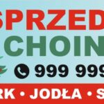 SPRZEDAŻ CHOINEK 2x1m - Baner reklamowy,