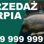 SPRZEDAŻ KARPIA 2x1m - Baner reklamowy,