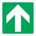 KIERUNEK PRZEMIESZCZANIA SIĘ (FOTOLUMINESCENCYJNE) - znak BHP,